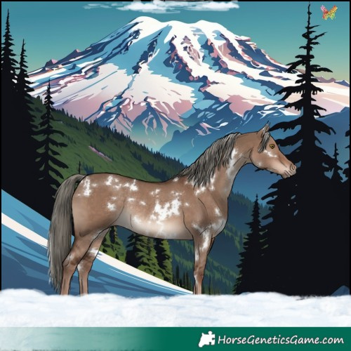 Horse Color:White Spotted Liver Red Dun Mushroom Rabicano 