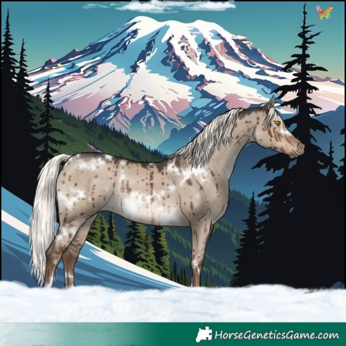 Horse Color:White Spotted Liver Red Dun Mushroom Rabicano Brindle 