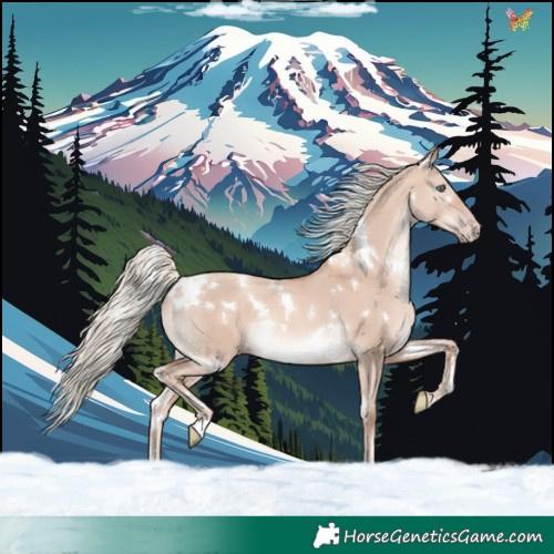 Horse Color:White Spotted Gold Champagne Dun Mushroom Rabicano 