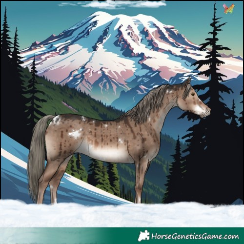 Horse Color:White Spotted Liver Red Dun Mushroom Rabicano Brindle 