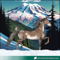 Horse Color:White Spotted Liver Red Dun Mushroom Rabicano Brindle 