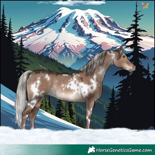 Horse Color:White Spotted Liver Red Dun Mushroom Rabicano 