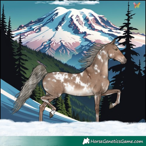 Horse Color:White Spotted Liver Red Dun Mushroom Rabicano 