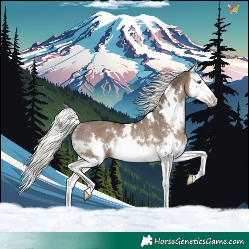 Horse Color:White Spotted Liver Red Dun Mushroom Splash Rabicano 