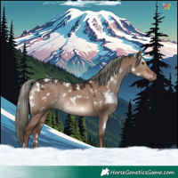 Horse Color:White Spotted Liver Red Dun Mushroom Rabicano 