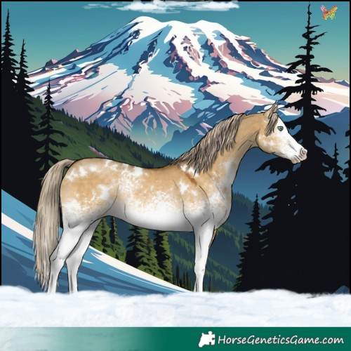Horse Color:White Spotted Chocolate Palomino Dun Mushroom Rabicano 