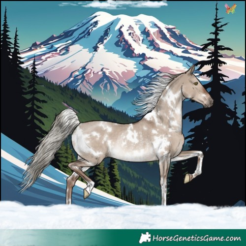 Horse Color:White Spotted Liver Red Dun Mushroom Rabicano 