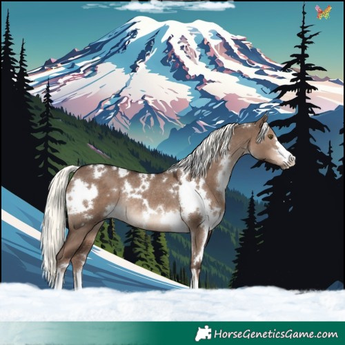 Horse Color:White Spotted Liver Red Dun Mushroom Rabicano 