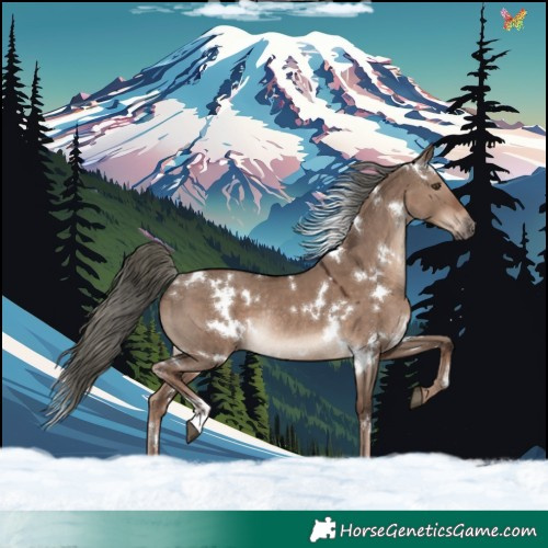 Horse Color:White Spotted Liver Red Dun Mushroom Rabicano 