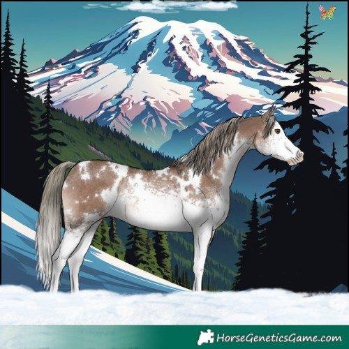 Horse Color:White Spotted Liver Red Dun Mushroom Rabicano 