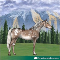 Horse Color:White Spotted Liver Red Dun Mushroom Rabicano 