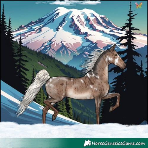 Horse Color:White Spotted Liver Red Dun Mushroom Rabicano Brindle 