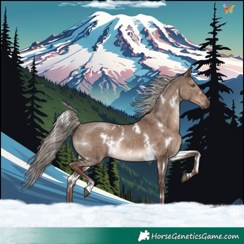 Horse Color:White Spotted Liver Red Dun Mushroom Rabicano Brindle 