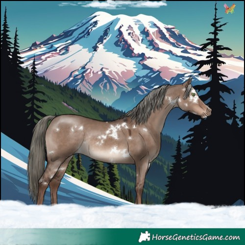 Horse Color:White Spotted Liver Red Dun Mushroom Rabicano 