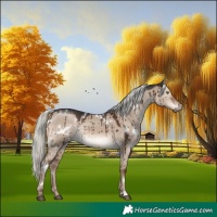 Horse Color:White Spotted Liver Red Dun Mushroom Rabicano Brindle