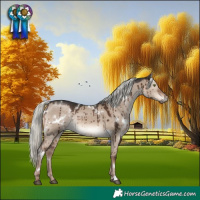 Horse Color:White Spotted Liver Red Dun Mushroom Rabicano Brindle 
