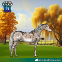 Horse Color:White Spotted Liver Red Dun Mushroom Rabicano Brindle 