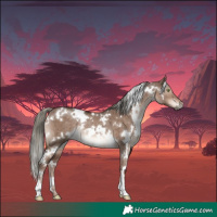 Horse Color:White Spotted Liver Red Dun Mushroom Rabicano Brindle