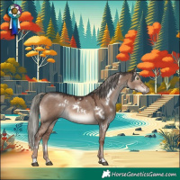 Horse Color:White Spotted Liver Red Dun Mushroom Rabicano 