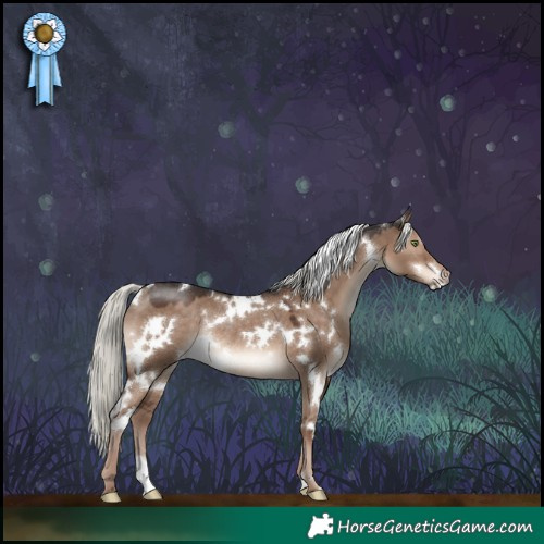 Horse Color:White Spotted Liver Red Dun Mushroom Rabicano 