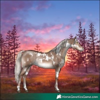 Horse Color:White Spotted Liver Red Dun Mushroom Rabicano Brindle