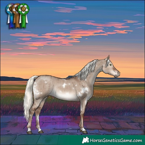 Horse Color:White Spotted Liver Red Dun Mushroom Rabicano Brindle 