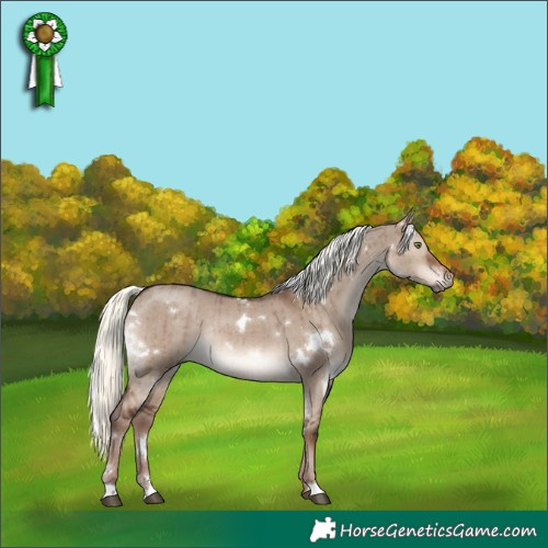 Horse Color:White Spotted Liver Red Dun Mushroom Rabicano Brindle 