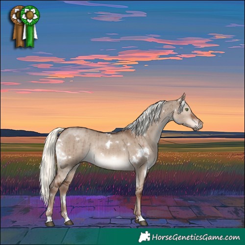 Horse Color:White Spotted Liver Red Dun Mushroom Rabicano Brindle 