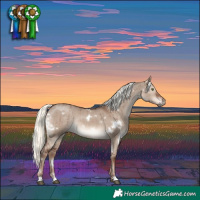 Horse Color:White Spotted Liver Red Dun Mushroom Rabicano Brindle 