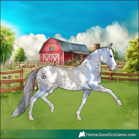 Horse Color:White Spotted Smoky Grullo Sabino Splash Appaloosa Rabicano 