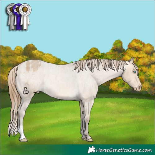 Horse Color:Sable Cream Champagne Roan Varnish Rabicano