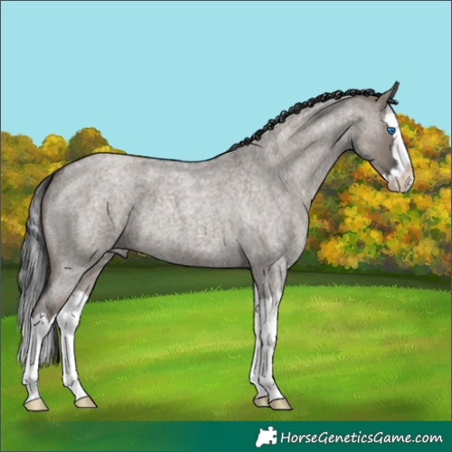 Horse Color:Smoky Grullo Roan Splash