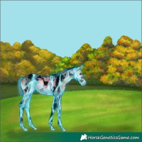 Horse Color:Void Thunderstruck Red Onyx Ice Tobiano
