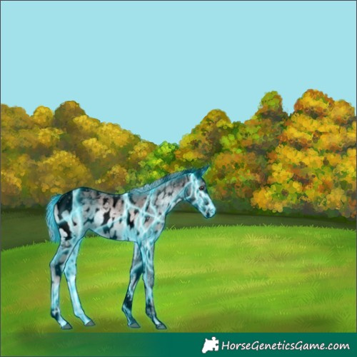 Horse Color:Void Platinum Thunderstruck Red Onyx Ice Tobiano Appaloosa