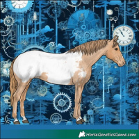 Horse Color:Chestnut Appaloosa