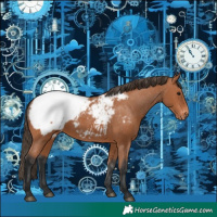 Horse Color:Bay Snowcap 