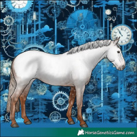 Horse Color:Gray Chestnut Appaloosa 