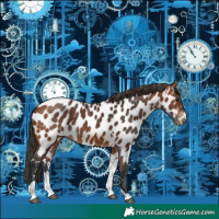 Horse Color:Bay Tobiano Near Leopard