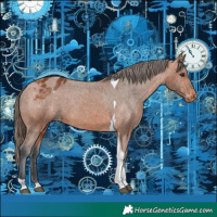 Horse Color:Bay Tobiano Blanket 