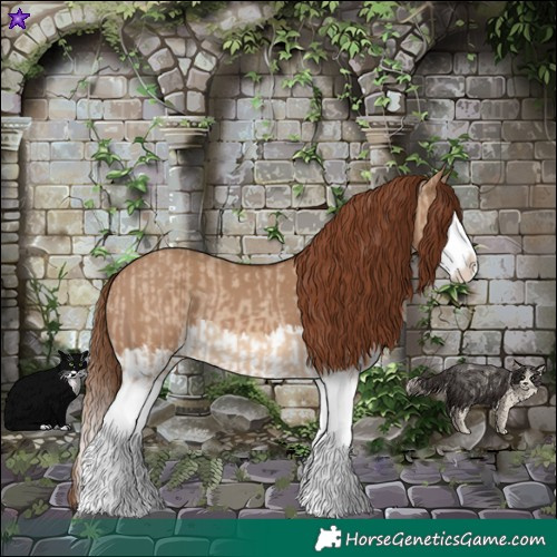 Horse Color:Red Dun Splash  and Red Dun Splash 