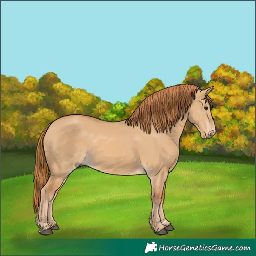 Horse Color:Red Dun