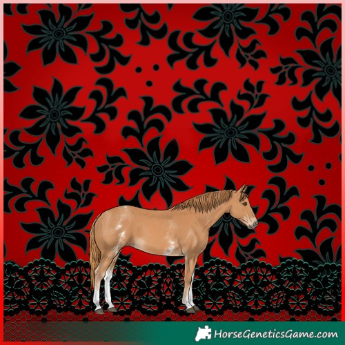 Horse Color:White Spotted Chestnut 