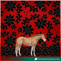 Horse Color:White Spotted Chestnut 