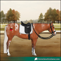 Horse Color:Powder White Chocolate Silver Bay