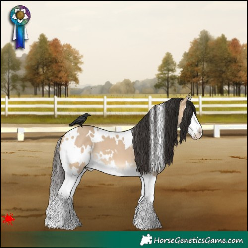 Horse Color:White Spotted Bay Dun Splash 