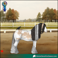 Horse Color:White Spotted Bay Dun Splash 