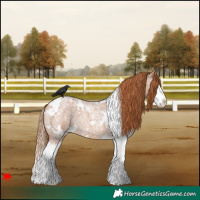 Horse Color:White Spotted Red Roan Splash 
