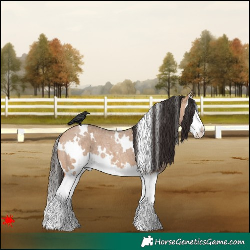 Horse Color:White Spotted Bay Roan Dun Splash 