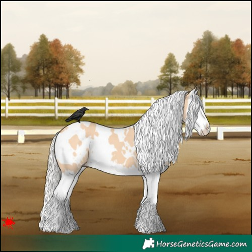 Horse Color:White Spotted Silver Bay Dun Splash 