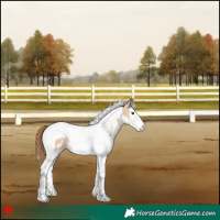 Horse Color:White Spotted Red Dun Splash Tobiano